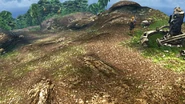 FFX HD Besaid Promontory