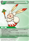 WhiteHare TCG