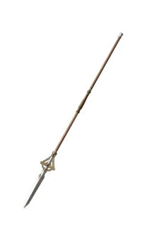 A spear.