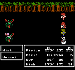 Final Fantasy II (NES).