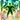 Nature's Minne from Final Fantasy XIV icon