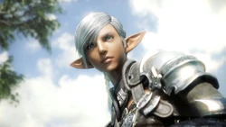The "CG Elezen" in the opening FMV.