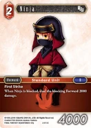 Ninja [2-013C] Opus series card.