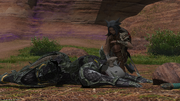 Tepeke and Radiant Host from FFXIV
