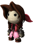 Costume in LittleBigPlanet2.