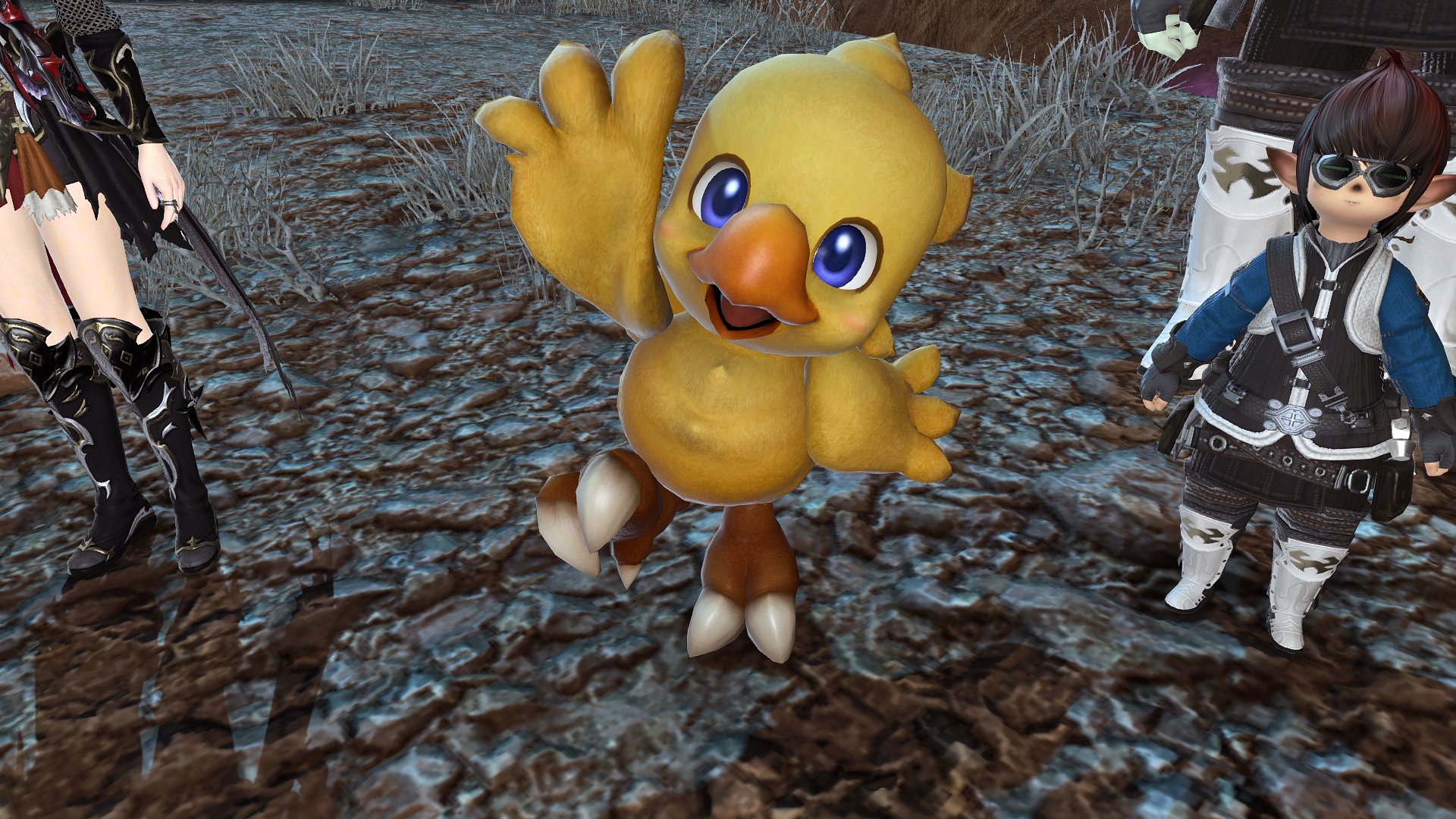 final fantasy xiv alpha plush