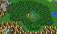 The Library in Bartz's world Overworld.