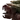Concherer X2 portrait