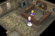 Armor shop (DS/iOS).