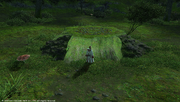 FFXIV Lifemend Stump