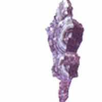 Yu Pagoda Final Fantasy Wiki Fandom