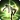 Egeiro from Final Fantasy XIV icon