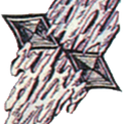 Ice Shield
