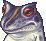FF2PSP Leon Frog