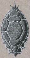 FFVI Tortoise Shield Artwork