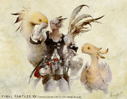 Artwork d'un Miqo'te accompagné de Chocobos dans Final Fantasy XIV: A Realm Reborn