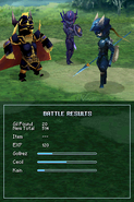 Golbez's victory pose (DS).