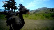 FFXV-Black-Chocobo.jpg (39 KB) Black chocobo in Final Fantasy XV.