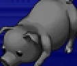 Pig portrait for Golbez, Gekkou, and Zangetsu in Final Fantasy IV: The After Years (PSP).