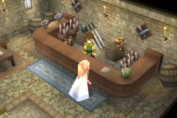Weapons shop (DS/iOS).