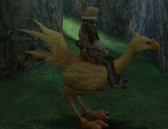 Layle riding a chocobo.