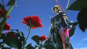 Firion and the Wild Rose