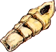 Sleeping Bag