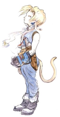 Final Fantasy IX to Get Kid-Friendly Animated Series! | Game News | Tokyo  Otaku Mode (TOM) Shop: Figures & Merch From Japan