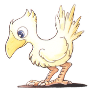 Chocobo.