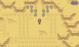 Desert of Shifting Sands