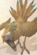 FFXIIBrownChocobo.jpg (16 KB) Brown Chocobo