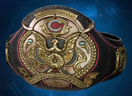 Champion Belt