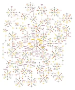 Das Profi-Sphärobrett