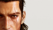 Gladiolus Amicitia