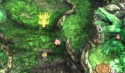 Mene und Choco in Chocobos Wald FFIX