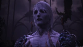 Ultima im Interdimensionalen Riss Final Fantasy XVI