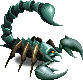 Seeskorpion