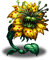 Leichenblüte