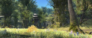 Tiefer Wald Final Fantasy XIV A Realm Reborn