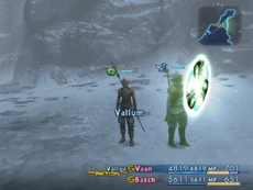 Vallga FFXII