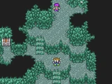 Piratennest (FFV)