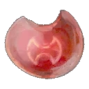 Krieger-Kristall FFXIV.png (25 KB) Krieger-Kristall