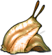 Schnecke