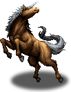 Verrücktes Pferd