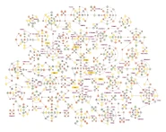 Das Standard-Sphärobrett