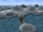 Insel des Lichts
