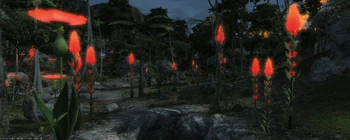 Regenfänger-Rinne östliches La Noscea Final Fantasy XIV