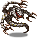 Scolopendra