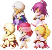 Paladin FFV.png