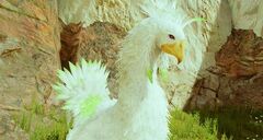 Chocobo Weiß LRFFXIII